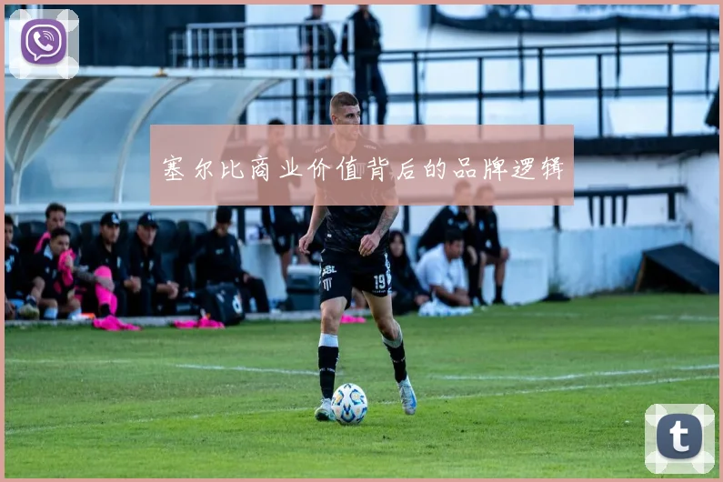 塞尔比商业价值背后的品牌逻辑