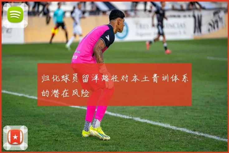 归化球员留洋路径对本土青训体系的潜在风险