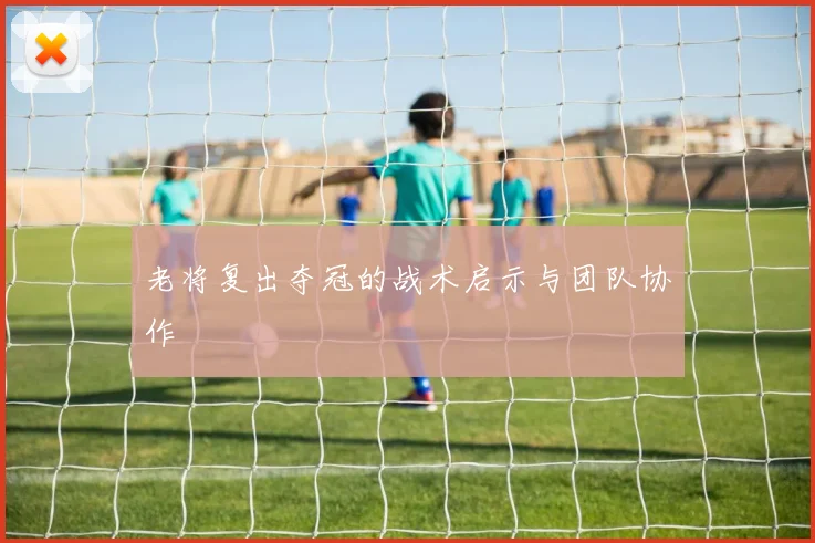 老将复出夺冠的战术启示与团队协作
