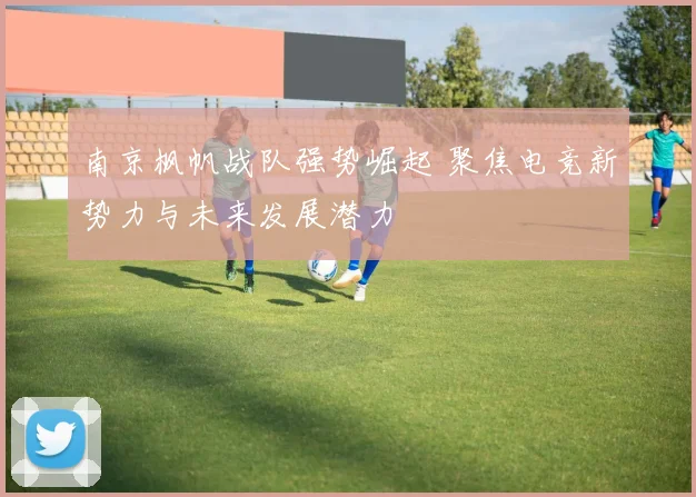 南京枫帆战队强势崛起 聚焦电竞新势力与未来发展潜力