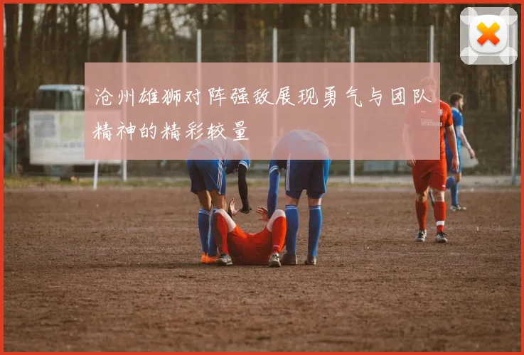 沧州雄狮对阵强敌展现勇气与团队精神的精彩较量