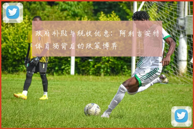 政府补贴与税收优惠：阿利吉安特体育场背后的政策博弈