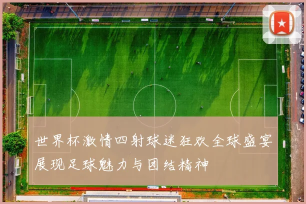 世界杯激情四射球迷狂欢全球盛宴展现足球魅力与团结精神