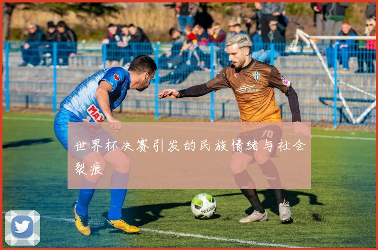 世界杯决赛引发的民族情绪与社会裂痕