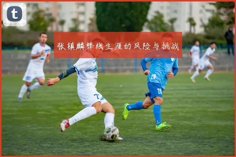 张镇麟锋线生涯的风险与挑战