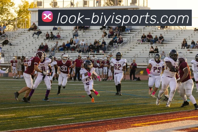 必一体育APP 高清赛事图